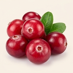 Test 1